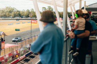 #65 - MPC Team Shannons - Liam Talbot - Garth Tander - Audi R8 LMS GT3 Evo 2 l © Race Project l Daniel Kalisz | GT World Challenge Australia