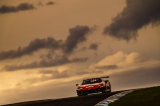 #1 - Arise Racing GT - Liam Talbot - Chaz Mostert - Ferrari 296 GT3 l © Race Project l Daniel Kalisz | GT World Challenge Australia