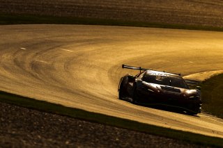 #8 - Arise Racing GT - Elliott Schutte - Jaxon Evans - Ferrari 296 GT3 l © Race Project l Daniel Kalisz | GT World Challenge Australia