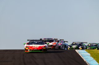 #1 - Arise Racing GT - Liam Talbot - Chaz Mostert - Ferrari 296 GT3 l © Race Project l Daniel Kalisz | GT World Challenge Australia