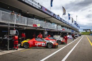 #8 - Arise Racing GT - Elliott Schutte - Jaxon Evans - Ferrari 296 GT3 l © Race Project l Daniel Kalisz | GT World Challenge Australia